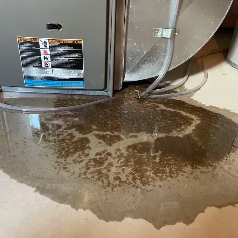 Appliance Leak Cleanup in Jasper County, TX